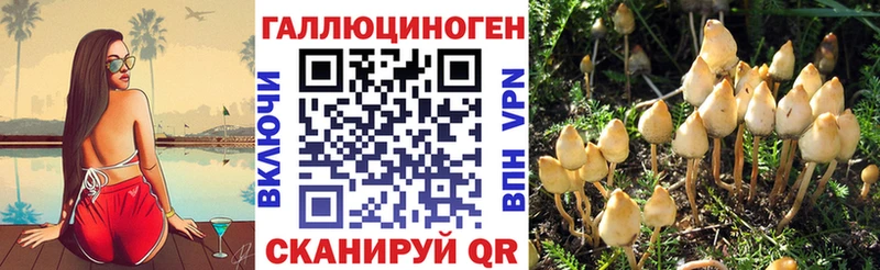 Галлюциногенные грибы Cubensis  Трубчевск 
